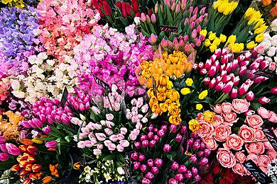 传奇的落幕 rare工作室两名核心人员离开