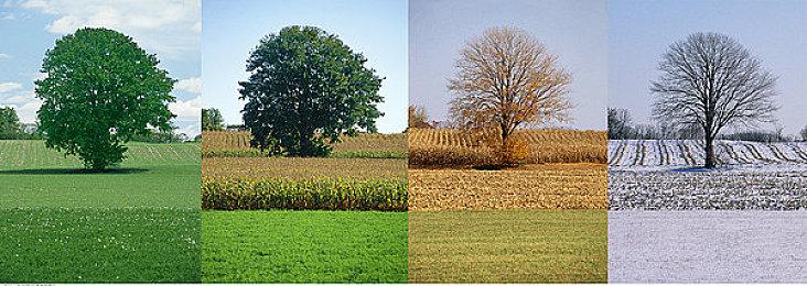 都市恐怖新游《 DREAM LOGIC》Steam发售 《后室》风格